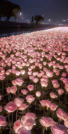 Enchanted Meadow Floral Symphony